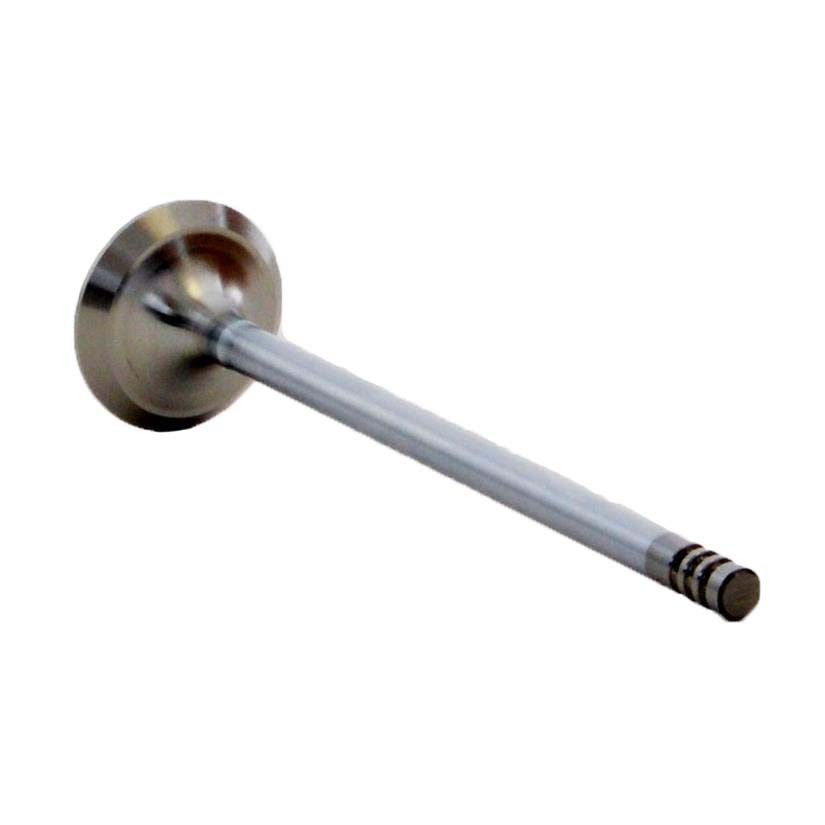Exhaust Valve - 2004 Dodge Neon 2.0L (PNV4379B.A8)