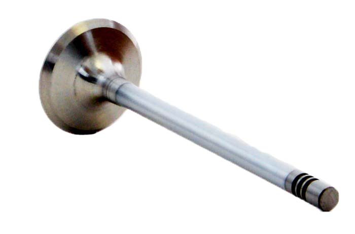 Exhaust Valve - 2007 Pontiac G6 2.4L (PNV4381.F53)