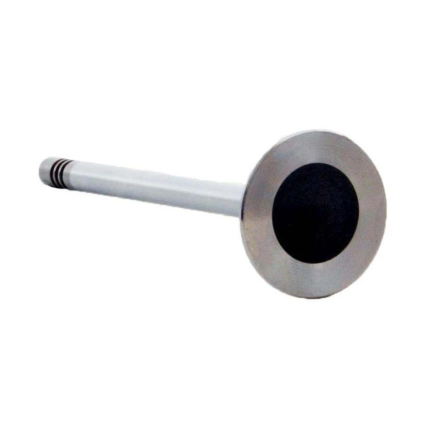 Exhaust Valve - 2015 Buick Regal 2.4L (PNV4381B.J98)