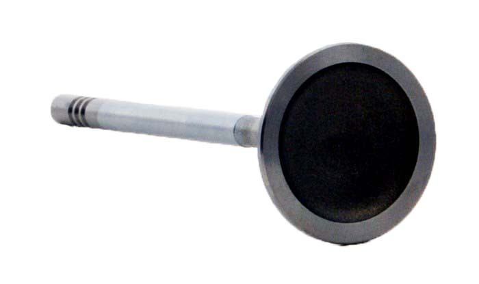 Intake Valve - 2003 Chrysler PT Cruiser 2.4L (PNV4402.A1)