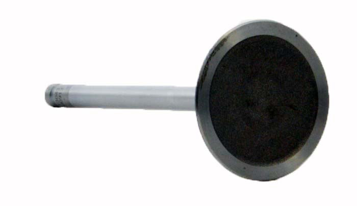 Intake Valve - 2006 Pontiac Montana 3.9L (PNV4430.A9)