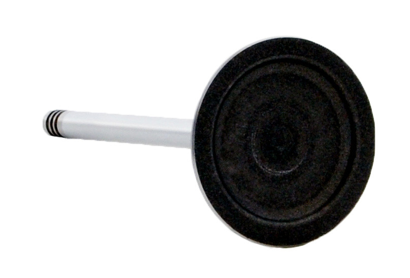 Intake Valve - 2011 Ram 1500 5.7L (PNV4458.E44)