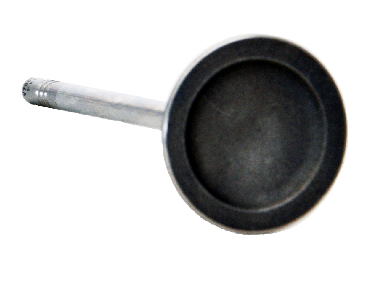 Intake Valve - 2011 Ford F-150 5.0L (PNV4462.A1)