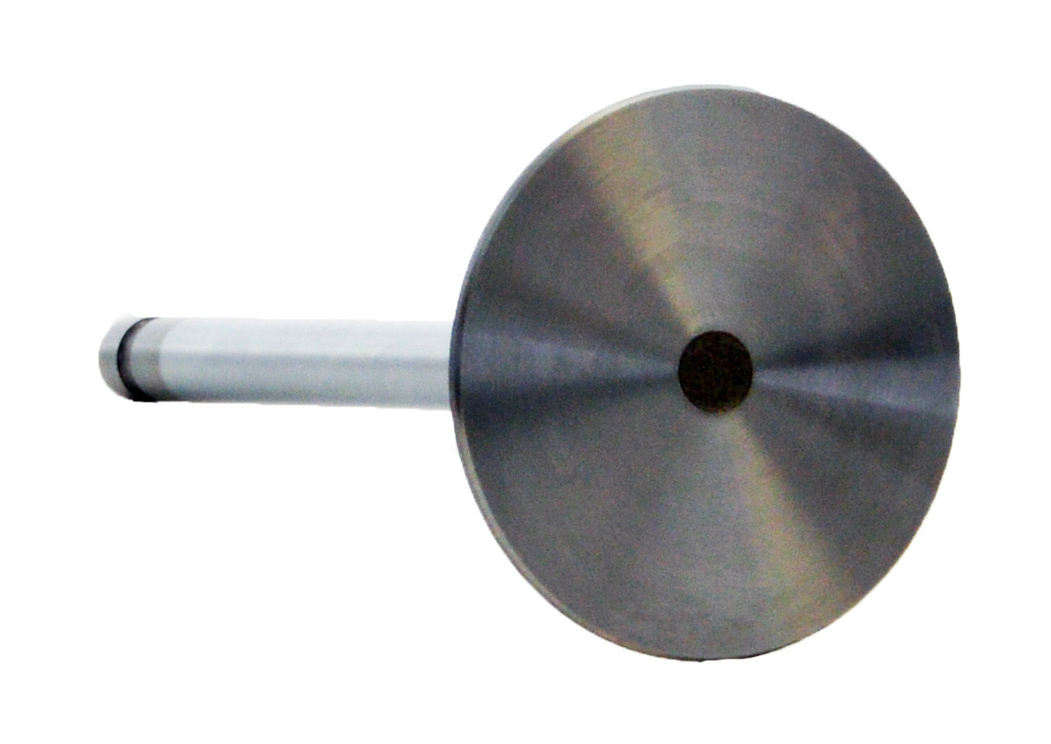 Intake Valve - 2004 Chevrolet Silverado 2500 HD 8.1L (PNV8100.C29)