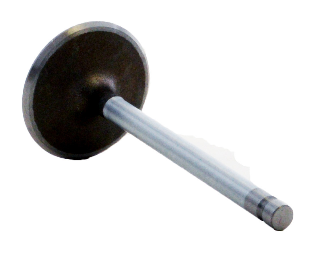 Intake Valve - 2005 GMC Sierra 3500 8.1L (PNV8100.D40)
