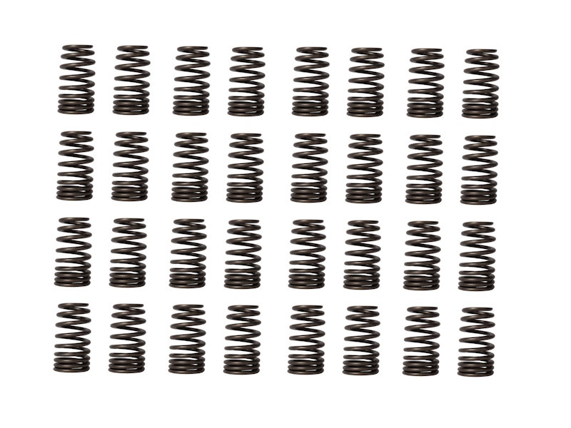 2019 Ford Mustang 5.0L Engine Valve Spring (Qty. 32) PN-ERV1717-32-4