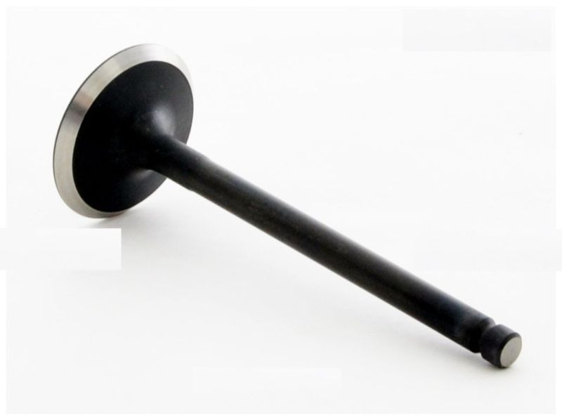 1996 Nissan Altima 2.4L Engine Intake Valve IM2706 -6