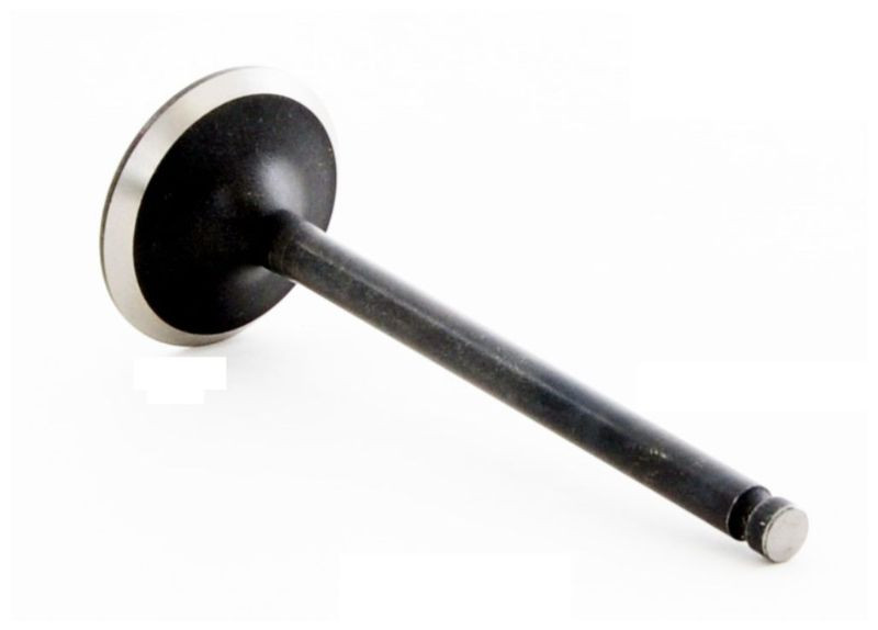 1999 Mazda Protege 1.8L Engine Intake Valve IM2836 -18