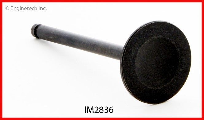 2000 Mazda 626 2.0L Engine Intake Valve IM2836 -19