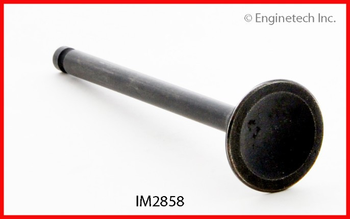 1991 Mitsubishi Mirage 1.5L Engine Intake Valve IM2858 -2