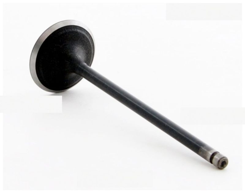 1997 Acura CL 3.0L Engine Intake Valve IM4348 -8