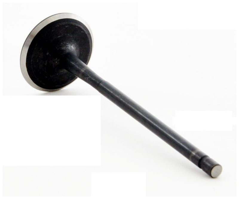 2006 Pontiac Vibe 1.8L Engine Intake Valve IM4386 -14