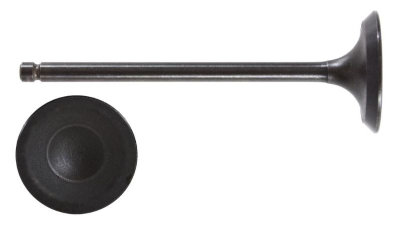 2009 Scion xB 2.4L Engine Intake Valve IM4390 -39