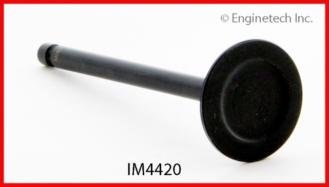 2011 Kia Rio5 1.6L Engine Intake Valve IM4420 -24