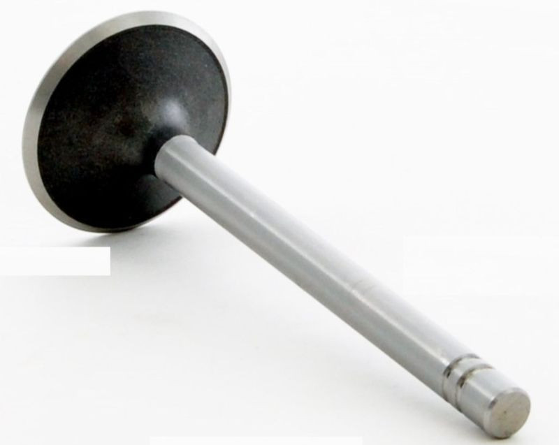 1985 Plymouth Gran Fury 5.2L Engine Intake Valve V1588 -702