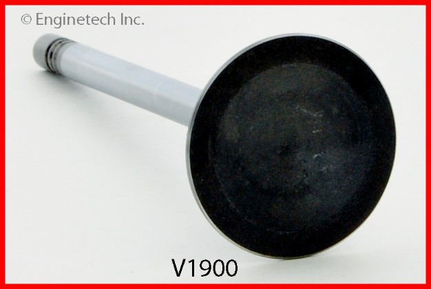 1985 Mercury Lynx 1.6L Engine Intake Valve V1900 -36