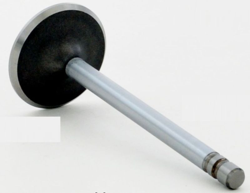 1985 GMC C1500 5.0L Engine Intake Valve V1922 -223