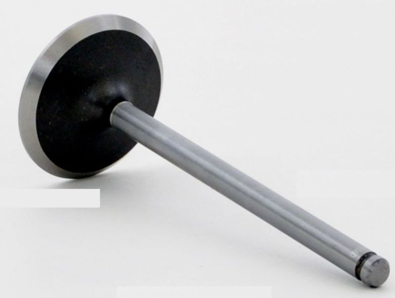 1998 Dodge Ram 3500 5.9L Engine Intake Valve V2060 -194