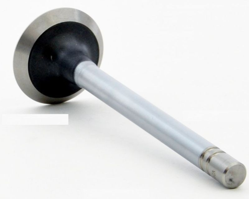 1986 Dodge B150 5.2L Engine Exhaust Valve V2441 -123