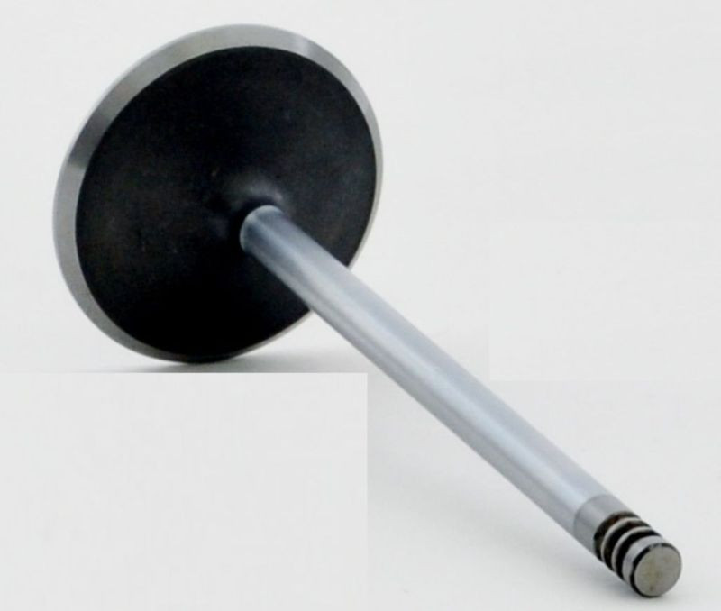 2005 Ford Freestar 4.2L Engine Intake Valve V3004 -49