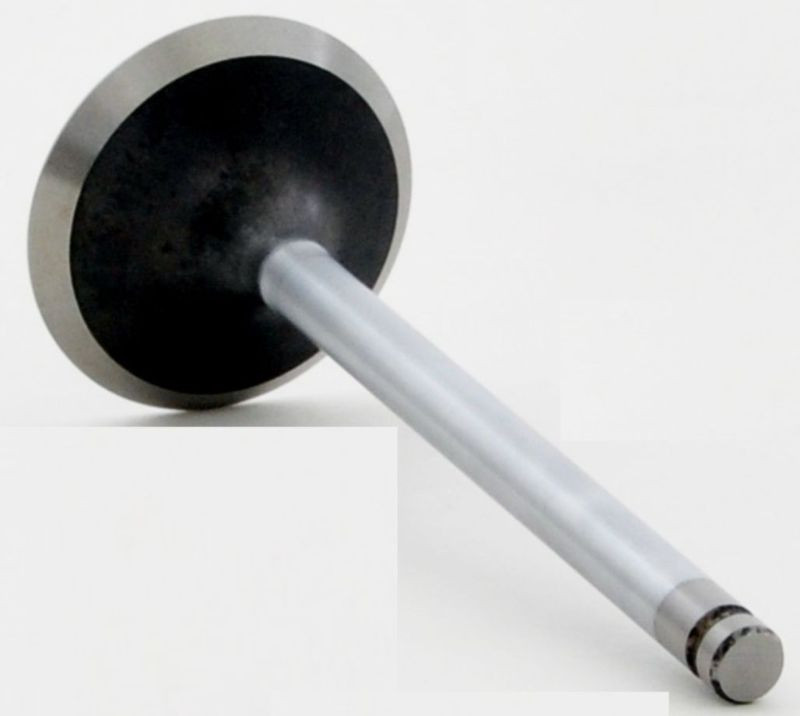 2001 Oldsmobile Silhouette 3.4L Engine Intake Valve V3446 -25