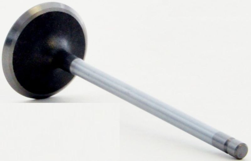2010 Dodge Journey 2.4L Engine Intake Valve V4448 -38
