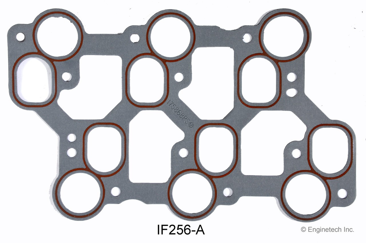 2000 Ford E-250 Econoline 4.2L Engine Fuel Injection Plenum Gasket IF256-A -9