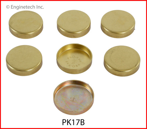 1985 American Motors Eagle 4.2L Engine Expansion Plug Kit PK17B -438