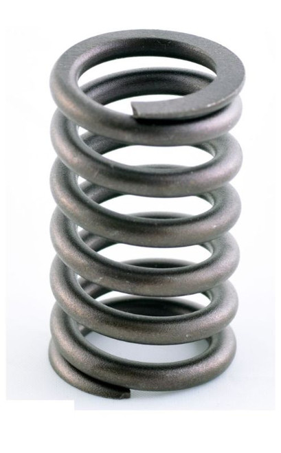 2010 Chrysler 300 2.7L Engine Valve Spring ERV2215.P60