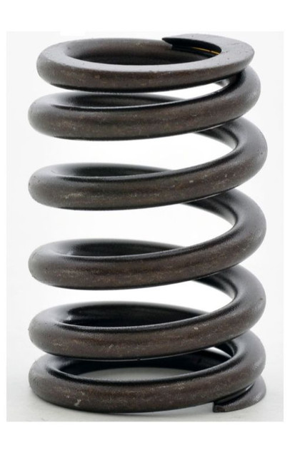 2002 Jeep Wrangler 2.5L Engine Valve Spring ERV2225.P49