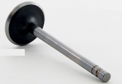 1987 Chevrolet V10 Suburban 5.7L Engine Intake Valve V1078.P3606 1987 Chevrolet V10 Suburban 5.7L Engine Intake Valve V1078.P3606