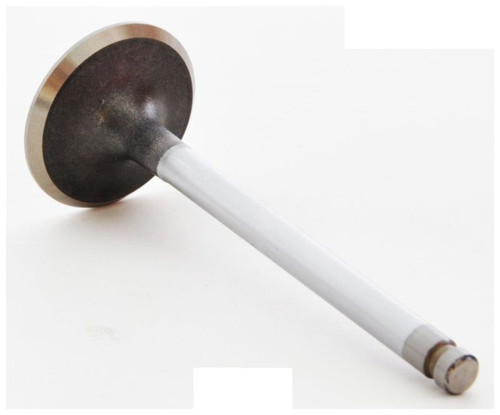 Intake Valve - 1986 Isuzu Pickup 1.9L (IM2002.C28)