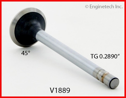 Exhaust Valve - 1985 GMC S15 2.8L (V1889.B13)