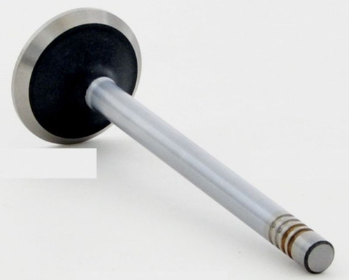 Exhaust Valve - 1987 Plymouth Horizon 2.2L (V1897.I81)