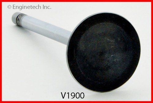 Intake Valve - 1986 Ford EXP 1.9L (V1900.E41)