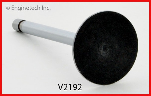 Intake Valve - 1991 Ford Country Squire 5.0L (V2192.E47)
