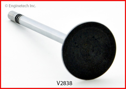 Intake Valve - 1995 Lincoln Continental 4.6L (V2838.A3)