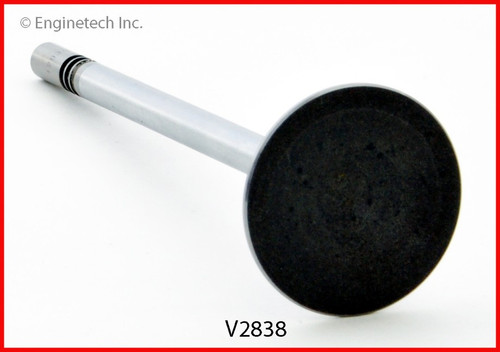 Intake Valve - 1996 Ford Mustang 4.6L (V2838.A5)