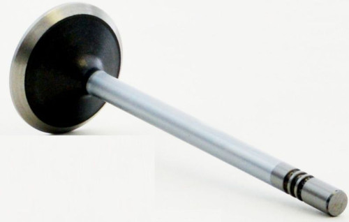 Exhaust Valve - 2001 Dodge Dakota 4.7L (V3705.A5)