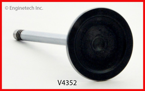 Intake Valve - 2005 Chevrolet Trailblazer EXT 4.2L (V4352.C29)