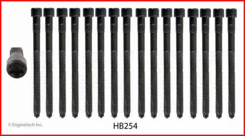 Cylinder Head Bolt Set - 2002 Audi A6 3.0L (HB254.A3)