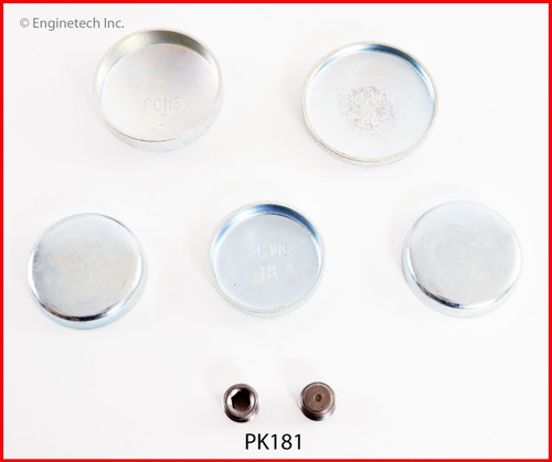 Expansion Plug Kit - 1990 Jeep Wrangler 2.5L (PK181.D31)