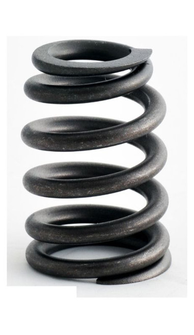 Valve Spring - 1999 Isuzu Hombre 2.2L Engine - ERV3517ZE17