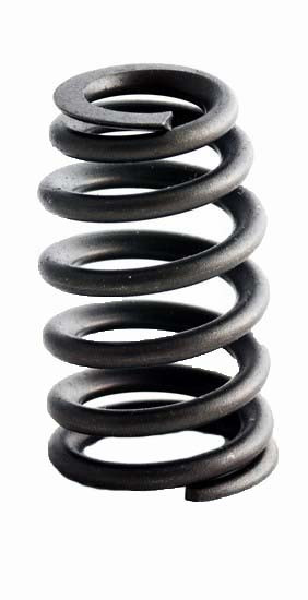 2004-2020 GM 3.6L 217ci DOHC V6 24V GM Naturally Aspirated 94.00mm Bore Valve Spring ERV1588 -EP4