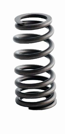 1991-2011 Ford 4.6L 281ci SOHC V8 16V "6,9,V,W,X" 90.20mm Bore Valve Spring ERV1615 -EP1