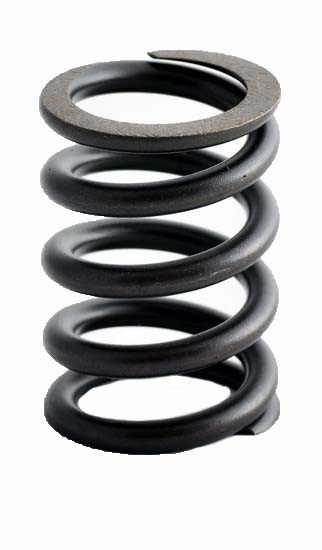 2005-2008 Land Rover 4.0L 4009ci SOHC V6 12V FORD 100.40mm Bore Valve Spring ERV2302 -EP3