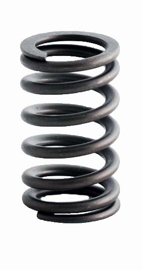 2006 Hummer 3.5L 211ci DOHC L5 20V "6" GM 93.00mm Bore Valve Spring ERV3557 -EP4