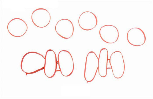 1997-2011 Ford 4.0L 244ci SOHC V6 12V "E,K" 100.40mm Bore Intake Gasket IF4.0-A -EP4