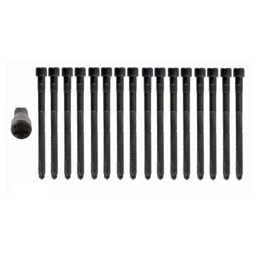 2002-2006 Audi 3.0L 2976ci DOHC V6 30V AVK, BGN 82.50mm Bore Head Bolt Set HB254 -EP1