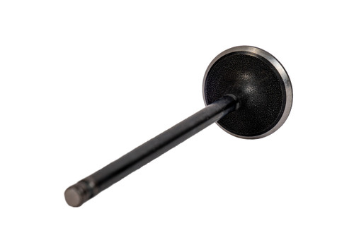 2013-2019 Nissan 1.8L 1798ci DOHC L4 16V MRA8DE 79.70mm Bore Intake Valve IM1030 -EP1